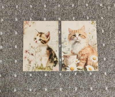 ~Kissa kortti~ 2kpl
