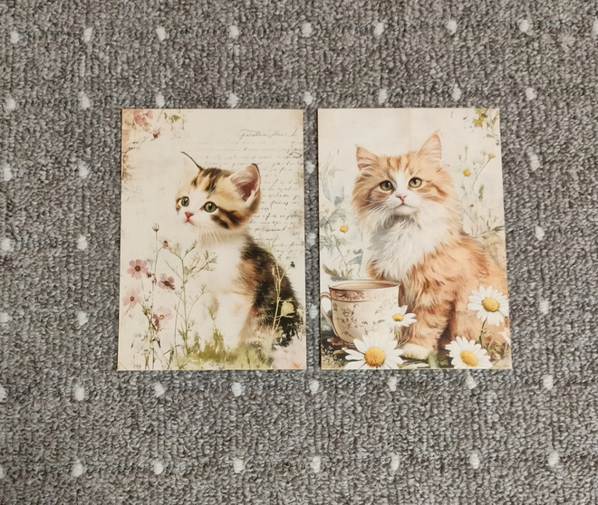 ~Kissa kortti~ 2kpl