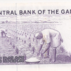 Gambia 1 dalasi - pikkukuva 2