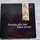 Riverside Raiders - Running After You 7" Single - pikkukuva 4
