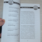 Suuri Kupla - Vinsentin sarjakuvavisa -tehtäväkirja - pikkukuva 4