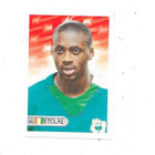 2006 Mundocrom World Cup Tarra #162 Yaya Toure , Ivory Coast - pikkukuva 1