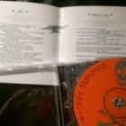 cd cree summer - street faerie - pikkukuva 2