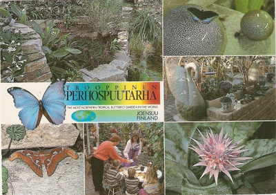 JOENSUU : Trooppinen Perhospuutarha. Ei kulk.
