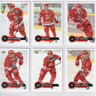 2021-22 Cardset Series 2 Sport Team Set 12 korttia (313-324) - pikkukuva 2