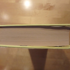 John Irving; Oman elämänsä sankari (1.painos) - pikkukuva 4