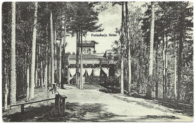 Punkaharju Hotelli