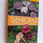 Jarkko Korhonen : Sieniopas : 2024 painos - pikkukuva 1