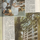 Uusi Nainen n:o 10 1959 Vaasa. Kainuu. Helsinki kauppatori. - pikkukuva 5