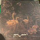 Isokynä ja Orfeus: Musiikkia (1974/2017) LP - pikkukuva 1