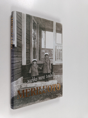 Aila Meriluoto : Mekko meni taululle