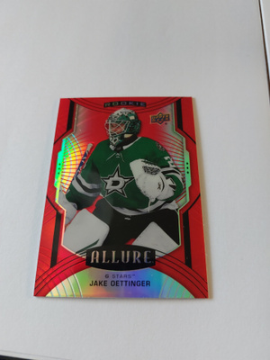 2020-21 Upper Deck Allure Red Rainbow #133 Jake Oettinger SP