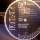TOM ROBINSON  ::  HOPE AND GLORY  ::  VINYYLI   LP    1984 - pikkukuva 4