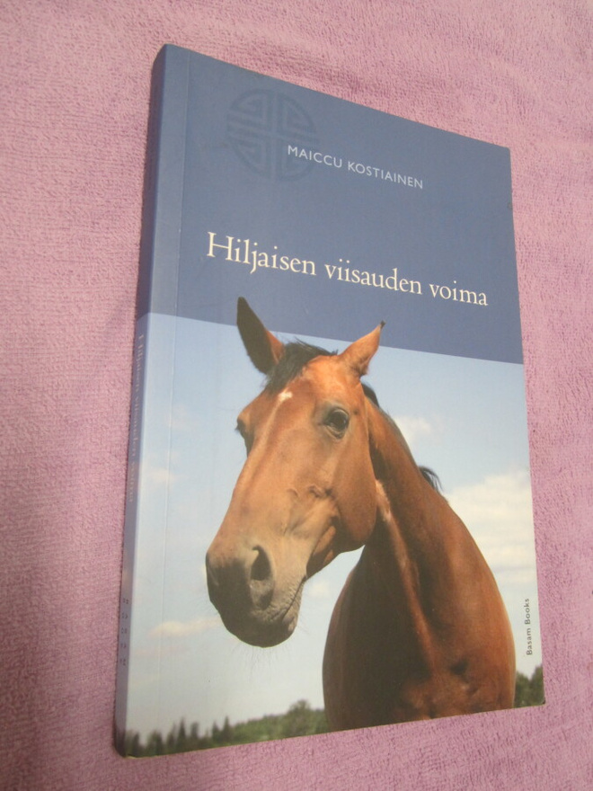 Maiccu Kostiainen : Hiljaisen viisauden voima