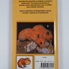 Tuula Syvänperä ym. : Pikkujyrsijöiden hoito : hamsterit,... - pikkukuva 2