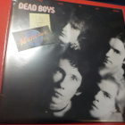 DEAD BOYS - WE HAVE COME FOR YOUR CHILDREN M/M LP - pikkukuva 1