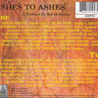 Ashes To Ashes - A Tribute To David Bowie - pikkukuva 2