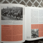 Björn Immonen ym: Tammidivisioona (jatkosodan hist.) - pikkukuva 2