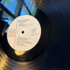 Rauli Badding Somerjoki - Muotokuva 1 lp Love Records - pikkukuva 4