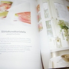 Bannura - Jeppsson Ilmeikkäät ikkunat - pikkukuva 4