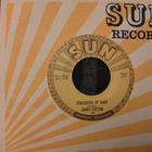 James Cotton sinkku - pikkukuva 2