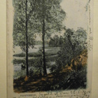 Haapaniemi, järvenrantamaisemaa, veneiljät, väripk, p. 1904 - pikkukuva 1