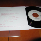 Turo`s Hevi Gee 7" Saunomaan+KUTSU KANSIPAPERI KULTALEVY JUH - pikkukuva 2