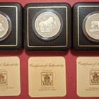 Conservation sarja 3 x 28 g PROOF: Mongolia + Zaire + Zambia - pikkukuva 1
