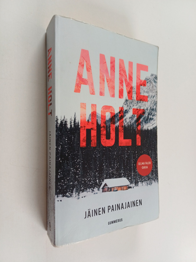 Anne Holt : Jäinen painajainen