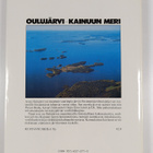 Reijo Heikkinen : Oulujärvi, Kainuun meri (signeerattu, t... - pikkukuva 2