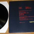 Gasoline Girls and Petrol Boys - Tulta ja hunajaa - LP - pikkukuva 2