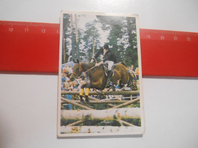 K 15 Jenkki Ravi ja ratsastus # 83