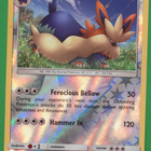Pokémon Stoutland - pikkukuva 1