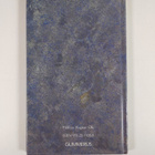 Tommy Tabermann : Tulevaisuus on rakkauden vihollinen : r... - pikkukuva 2