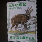 Etiopia 2000: antilooppi - pikkukuva 4