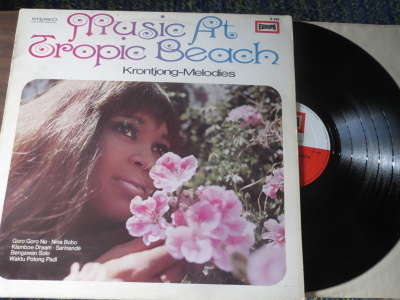 Music At Tropic Beach LP