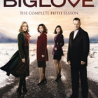 BIG LOVE - 5.tuotantokausi (4DVD) *UUSI* - pikkukuva 1