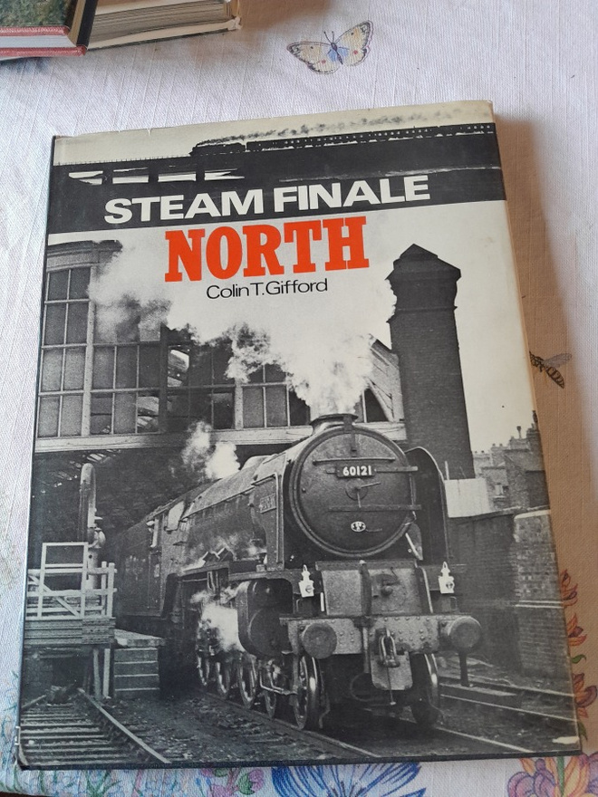 stem finale north