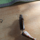 2 vanhaa pientä uistinta 4cm ja 5cm - pikkukuva 5
