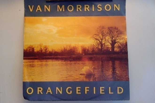 VAN MORRISON   ::   ORANGEFIELD   ::   VINYYLI  7"    1989