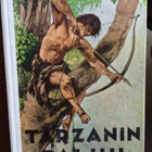 KIRJA : TARZAN : TARZANIN PALUU 5 PAINOS VUOSI 1970 - pikkukuva 1