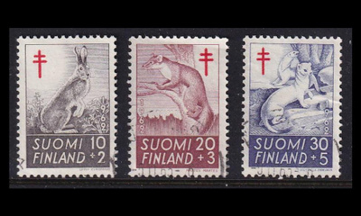 551-3 o Tuberkuloosi metsän eläimiä (1962)