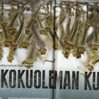 TIETEEN KUVALEHTI n:o 16 2014 Entä jos Maa saisi vieraita? - pikkukuva 2