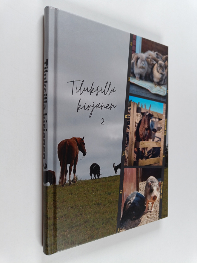 Annukka Cederlöf : Tiluksilla kirjanen 2