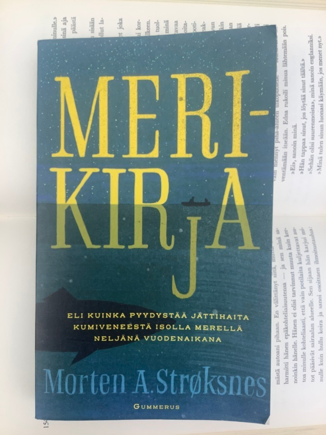 Morten A. Strøknes - Merikirja (pokkari)
