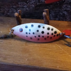 Bete Krokodil 60 Finland 12g - pikkukuva 1