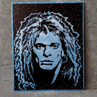 David Lee Roth / Van Halen - taulu - pikkukuva 4