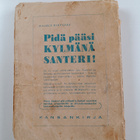 Kaarle Hirvonen : Pidä pääsi kylmänä, Santeri - pikkukuva 2