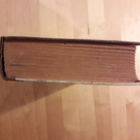 Mark Twain; Huckleberry Finnin seikkailut - pikkukuva 4