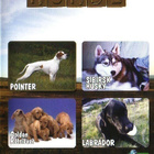 dvd, Hunde - Koirat (Animal Planet) [dokumentti] - pikkukuva 1